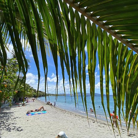 Bungalow Palbea Superieur Avec Spa Et Vue Mer Schoelcher Bagian luar foto